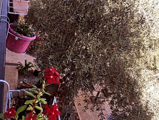 Bella Casetta Guest House Famagusta  Buitenkant foto