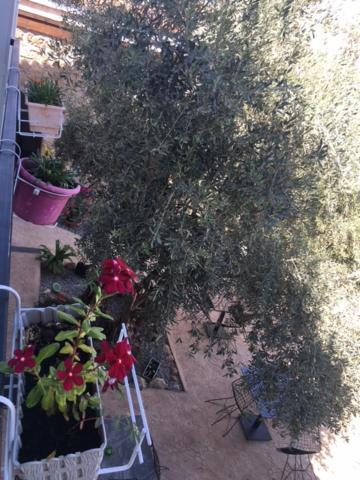 Bella Casetta Guest House Famagusta  Buitenkant foto